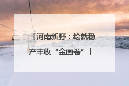 河南新野：绘就稳产丰收“金画卷”